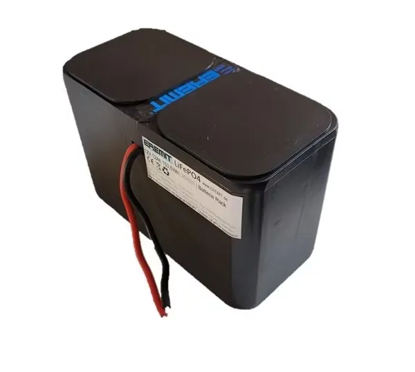 EREMIT 12 V/24 V Hardcase Batterierack